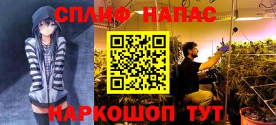 ешки Усть-Джегута