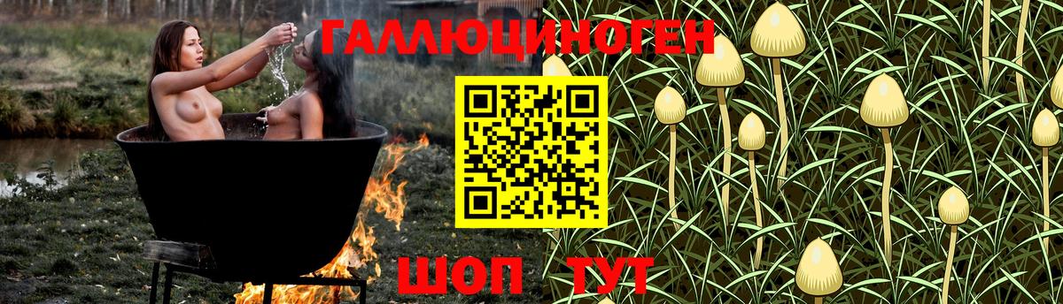 Галлюциногенные грибы мухоморы  даркнет сайт  Мелеуз  Вход с VPN 