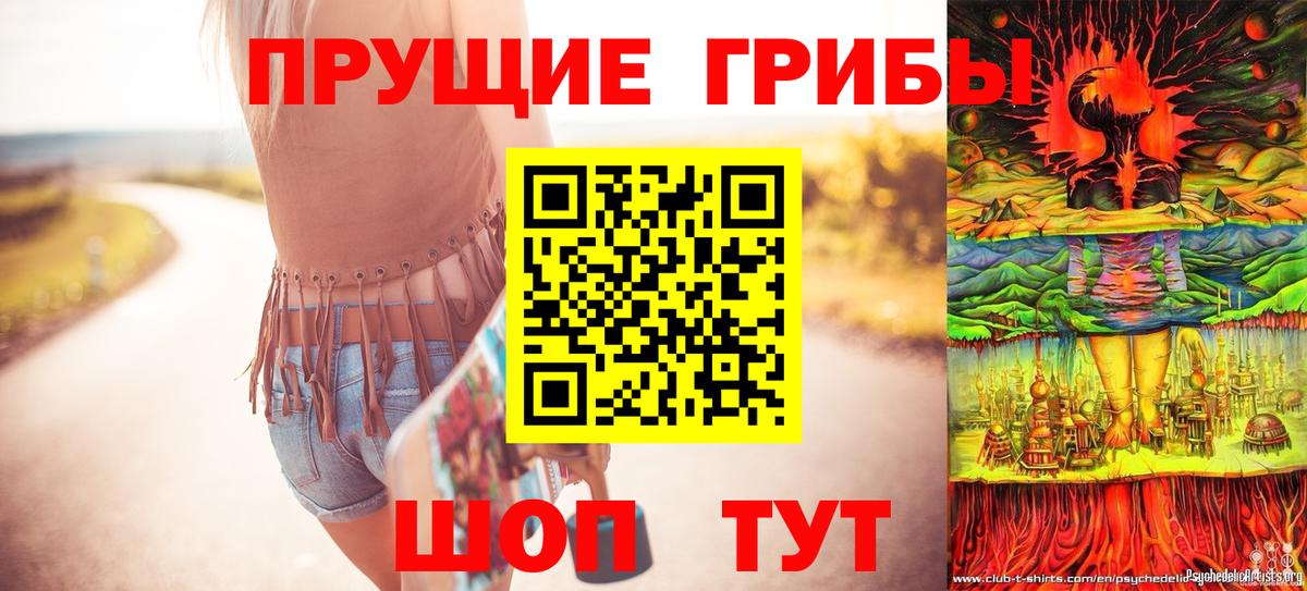 Псилоцибиновые грибы прущие грибы Мелеуз